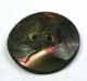 Antique Hand Carved Iridescent Shell Button W/ Flower Design - 5/8 