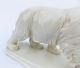 Early 20th Century Karl Ens Porcelain Polar Bear Figurine White Ice Animal Figurines photo 6
