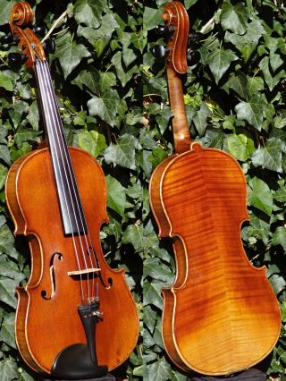 Fine Antique Czech Violin By Karl Muller,  Schonbach.  Gorgeously Mature Tone photo