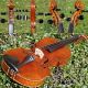 Fine Antique Czech Violin By Karl Muller,  Schonbach.  Gorgeously Mature Tone String photo 3