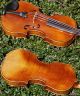Fine Antique Czech Violin By Karl Muller,  Schonbach.  Gorgeously Mature Tone String photo 4