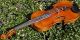 Fine Antique Czech Violin By Karl Muller,  Schonbach.  Gorgeously Mature Tone String photo 6