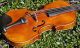 Fine Antique Czech Violin By Karl Muller,  Schonbach.  Gorgeously Mature Tone String photo 8