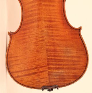 Masterpiece Old Italian Violin G.  Pedrazzini 1926 Geige Violon Violino Viola photo