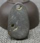 30mm Ancient Chinese Bronze Early Stage Dynasty Money Cowrie Currency Coin S Other Antiquities photo 2