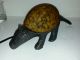 Nos Large Armadillo Stained Glass Shade Heavy Metal Electric Lamp Light Lamps photo 1