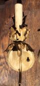 Vintage Metal Tole Leaves Wall Sconce (pair) Chandeliers, Fixtures, Sconces photo 2