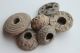 British Find Anglo Saxon Period Colection Of 6 Lead Spindle Whorls 800 Ad British photo 1