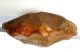 Classical Acheulean Flint Discoid Hand Axe Neanderthal Paleolithic Tool Neolithic & Paleolithic photo 2