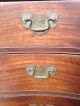 Vintage Chippendale Hand Dovetailed Dresser Bureau Chest Of Drawers Ball & Claw 1900-1950 photo 4