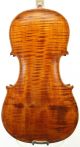 Fine And Antique Italian Violin By Reale Puglisi,  Catania 1920 - String photo 2
