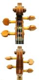Fine And Antique Italian Violin By Reale Puglisi,  Catania 1920 - String photo 4