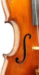 Fine And Antique Italian Violin By Reale Puglisi,  Catania 1920 - String photo 6