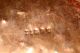 Large Primitave Solid Copper Antique Coal Scuttle / Hog / Kindling Carrier. Primitives photo 8