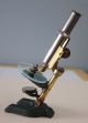Schieck Berlin Antique Brass Revolver - Trichinenskop Microscope W/compressorium Microscopes & Lab Equipment photo 2