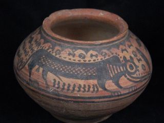Ancient Teracotta Painted Pot With Lions Indus Valley 2500 Bc Pt15463 photo