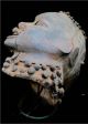 Old Rare Tribal Ekoi / Ejagham Janus - Head Skin - Covered Mask - Nigeria Bn 14 Other African Antiques photo 11