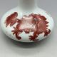 China ' S Rich And Colorful Ceramics Hand Draw A Lions Vase Vases photo 4
