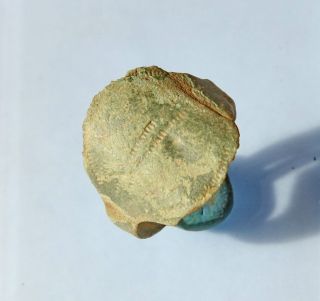 Ancient Old Bronze Ring.  Artifact From The Bronze Period.  (ap30) photo