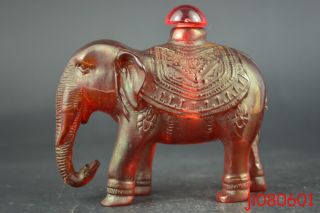 China Collectible Handwork Old Amber Carve Elephant Delicate Snuff Bottle Noble photo