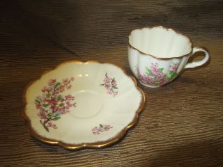 Kent China Taylor And Kent Tea Cup And Saucer Cherry Blossom Pattern photo