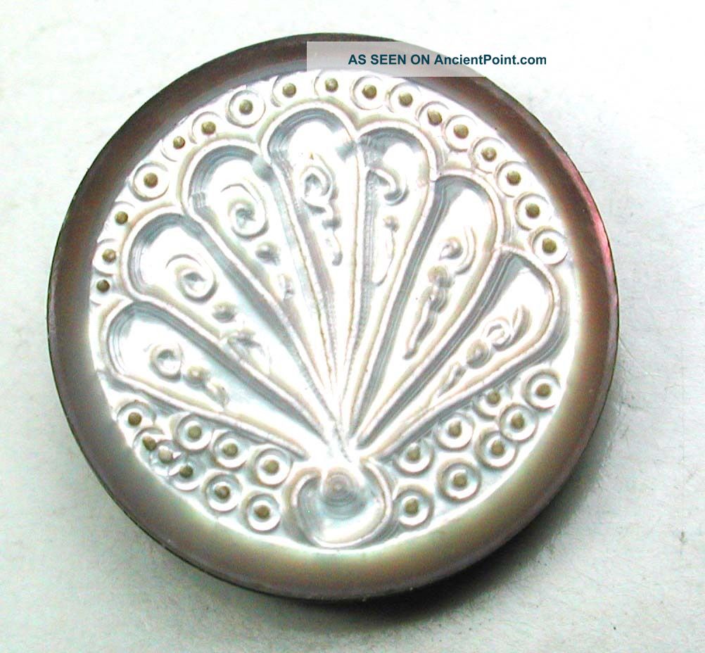 Antique Carved Shell Button W/ Fancy Fan Design - 9/16 