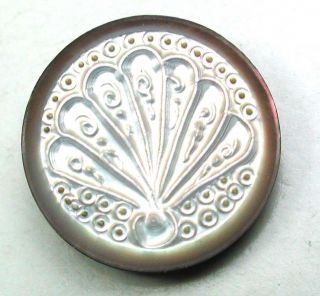 Antique Carved Shell Button W/ Fancy Fan Design - 9/16 