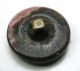 Antique Carved Shell Button W/ Fancy Fan Design - 9/16 