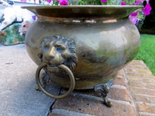 Large Vintage Antique Victorian Brass Lion Head Planter Centerpiece Bowl Pot photo