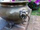 Large Vintage Antique Victorian Brass Lion Head Planter Centerpiece Bowl Pot Metalware photo 2