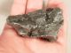 A Big Ripped 100 Natural Sikhote Alin Meteorite 294gr E Other Antiquities photo 11