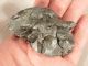 A Big Ripped 100 Natural Sikhote Alin Meteorite 294gr E Other Antiquities photo 1