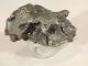 A Big Ripped 100 Natural Sikhote Alin Meteorite 294gr E Other Antiquities photo 4