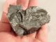 A Big Ripped 100 Natural Sikhote Alin Meteorite 294gr E Other Antiquities photo 6