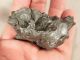 A Big Ripped 100 Natural Sikhote Alin Meteorite 294gr E Other Antiquities photo 8