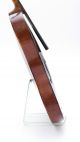 Very Rare Nicolaus Amati Gusetto ? Antique Old Violin Violino Violine German String photo 7