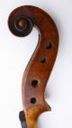 Very Rare Nicolaus Amati Gusetto ? Antique Old Violin Violino Violine German String photo 8