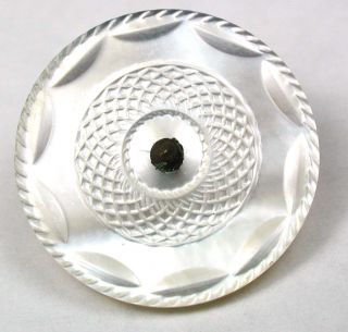 Antique Shell Button Hand Carved Colonial Pearl Design - 15/16 