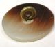 Antique Shell Button Hand Carved Colonial Pearl Design - 15/16 