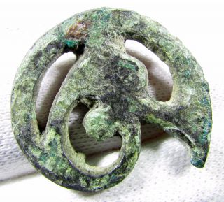 Very Rare Ancient Celtic Bronze Trumpet Belt Fitting / Mount - 17 photo