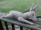 Rare Steiff Gray Jointed Legs Movable Head Donkey Burlap Body Possibly Straw Stu Primitives photo 4