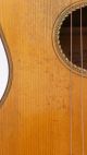 Brand Moser Old Antique Old Parlour Parlor Vintage Acoustic Or Classical Guitar String photo 3
