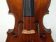 Fine Antique German 4/4 Master Violin With Lionhead - Label: Jacobus Stainer String photo 2