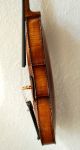 Fine Antique German 4/4 Master Violin With Lionhead - Label: Jacobus Stainer String photo 5