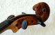 Fine Antique German 4/4 Master Violin With Lionhead - Label: Jacobus Stainer String photo 8