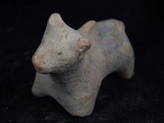 Ancient Teracotta Bull Indus Valley 1000 Bc Tr15393 photo
