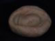 Ancient Teracotta Mold Of Head Indus Valley 1000 Bc Tr15326 Near Eastern photo 1