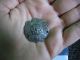 Ancient Celtic Billon Silver Application Pendant 600 - 400 Bc Flower Motive. Celtic photo 5