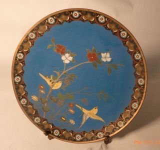 Late 19thc.  Meji Japan Made Turq.  Cloisonne Birds Charger/plate 12 