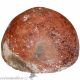 Scarce 1200 - 800 Bc Palestinian Terracotta Bowl Roman photo 2